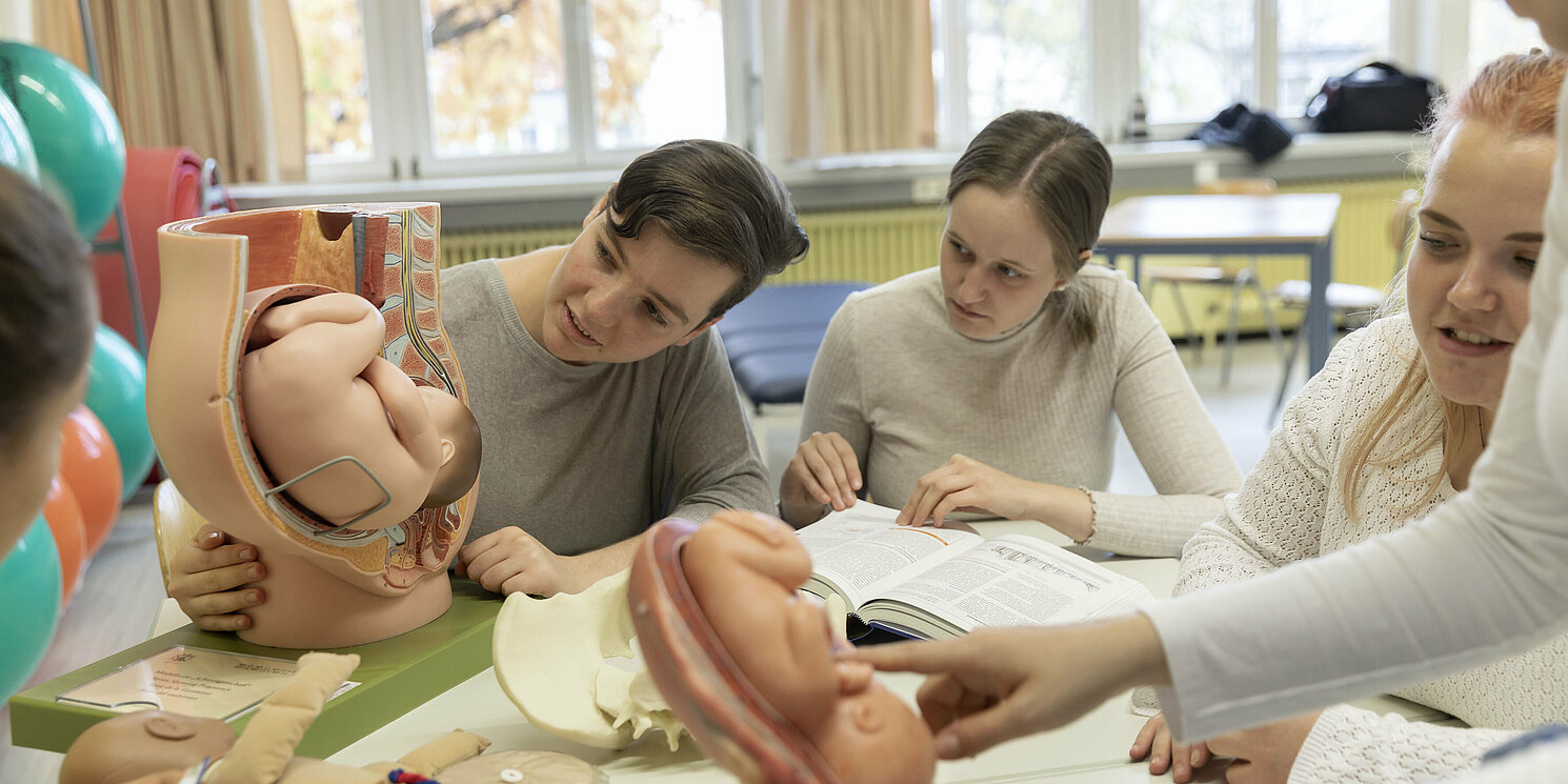 Studierende lernen mithilfe anatomischer Modelle von Gebärmutter und Fötus