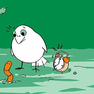 Early Bird Logo