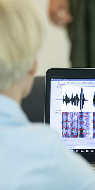 Prof. Lauer am Bildschirm