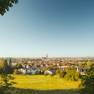 Blick von weitem auf die Stadt Regensburg. Im Vordergrund befindet sich eine grüne Wiese. Der Dom ist klein in der Bildmitte zu sehen. 